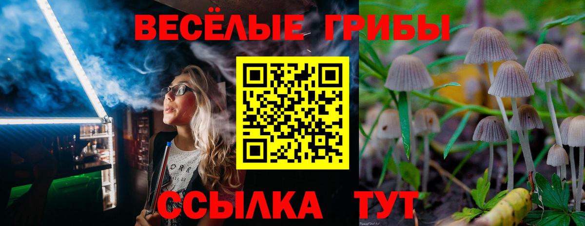 Галлюциногенные грибы ЛСД  Галлюциногенные грибы мицелий  Вход с VPN  Кимры 